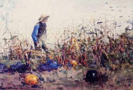 Cornfield - Winslow Homer