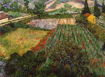 Field of Poppies - Vincent van Gogh