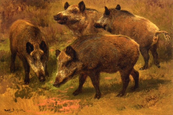Four Boars in a Landscape - Rosa Bonheur