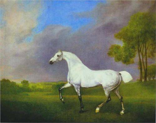 Grey Horse - George Stubbs