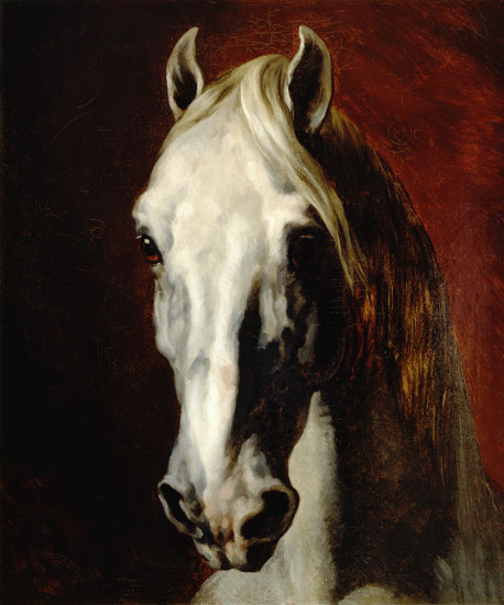 Head of White Horse - Theodore Gericault
