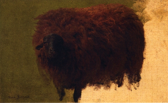 Large Wooly Sheep (Wether) - Rosa Bonheur