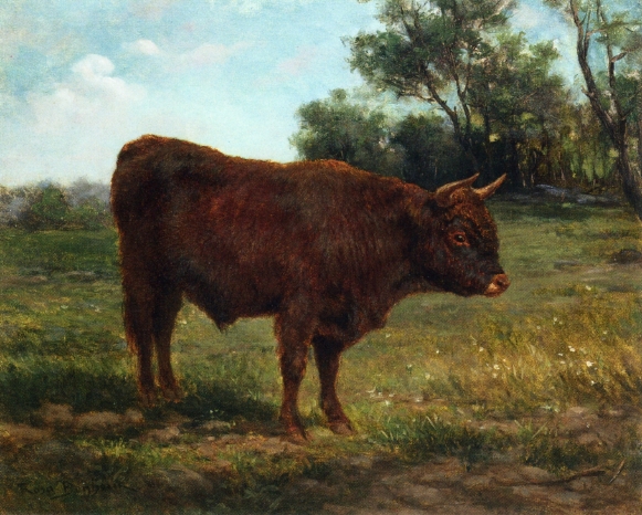 Longhorn Bull - Rosa Bonheur