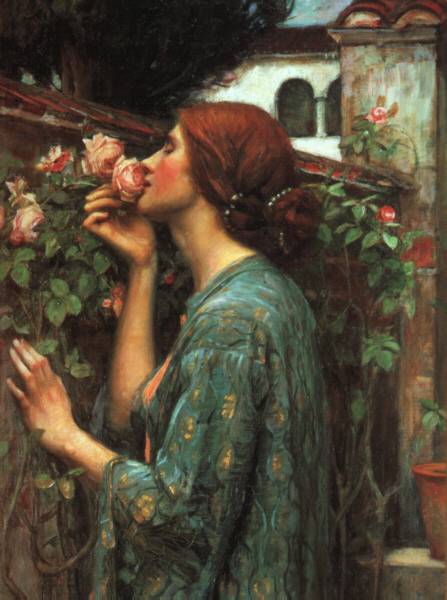 My Sweet Rose - John William Waterhouse