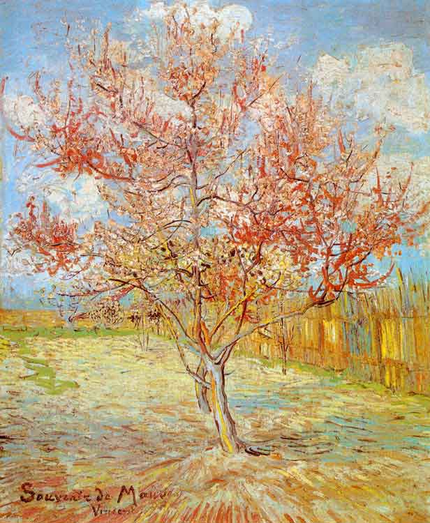 Pink Peach Tree in Blossom - Vincent van Gogh