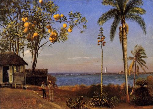 View in the Bahamas - Albert Bierstadt