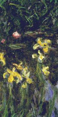 Yellow Irises - Claude Monet