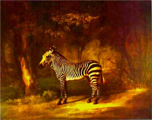 Zebra - George Stubbs