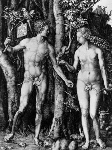 Adam and Eve (The Fall of Man) - Albrecht Durer