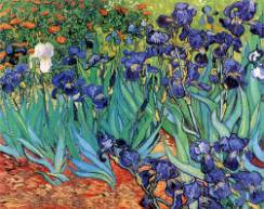 Irises 1889 Vincent van Gogh