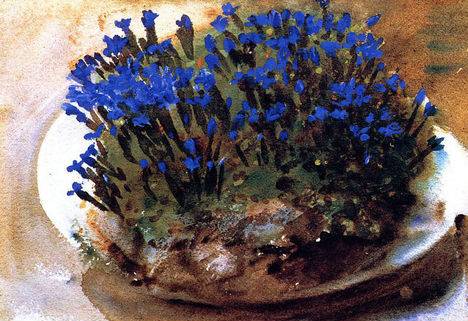 Blue Gentians - John Singer Sargent