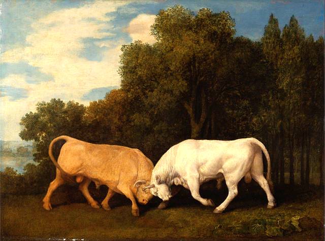 Bulls Fighting - George Stubbs