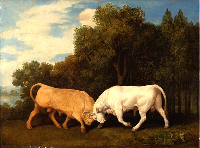 Bulls Fighting - George Stubbs