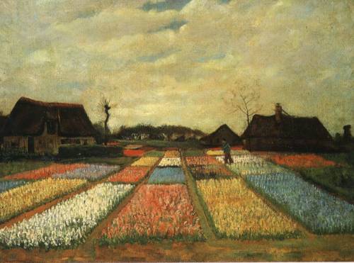 Flowers in Holland - Vincent van Gogh