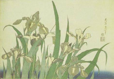 Irises - Katsushika Hokusai