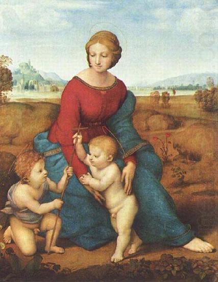 Madonna of the Meadow - Raffaello Raphael Sanzio