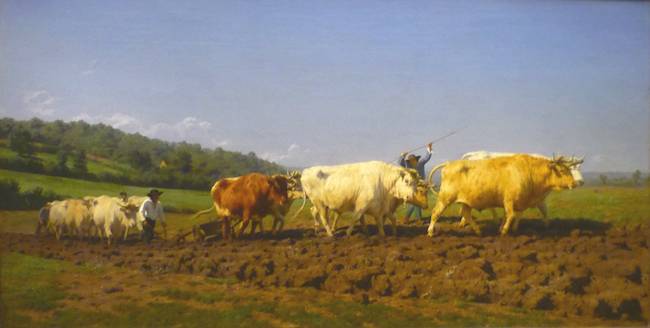 Ploughing in the Nivernais - Rosa Bonheur