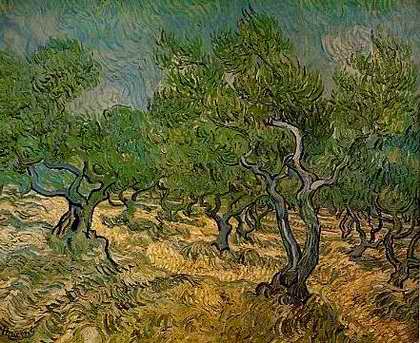 Olive Grove - Vincent van Gogh