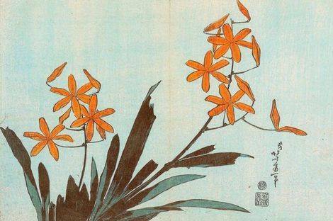 Orange Orchids - Katsushika Hokusai