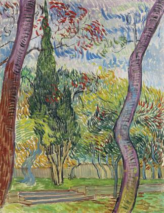 Parc de l'hopital Saint Paul - Vincent Van Gogh