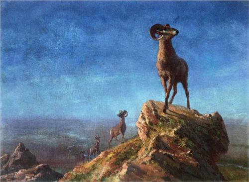Rocky Mountain Big Horns - Albert Bierstadt