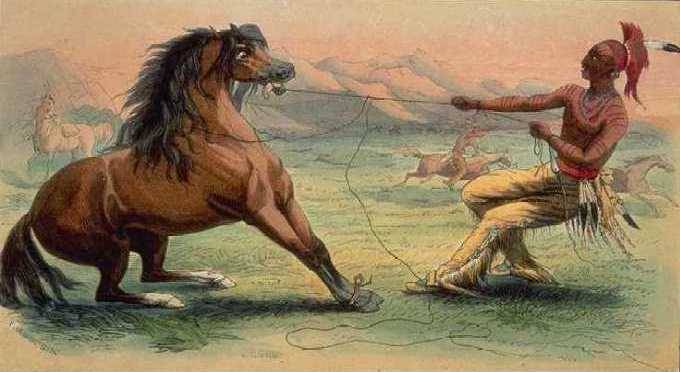 Taming Wild Horses - George Catlin