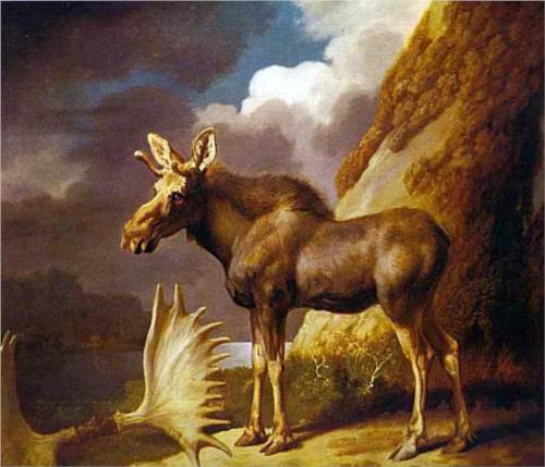 The Moose - George Stubbs