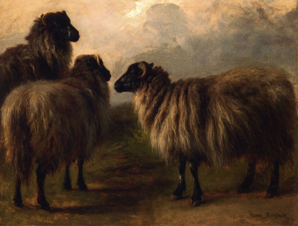 Three Wooly Sheep - Rosa Bonheur