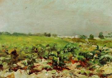 View of the Vineyards - Henri de Toulouse Lautrec