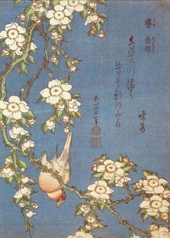Weeping Cherry and Bullfinch - Katsushika Hokusai