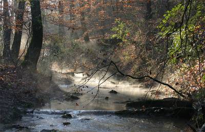 Woodland Brook - William Bliss Baker